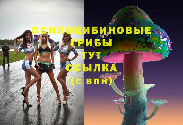 мяу мяу кристалл Няндома