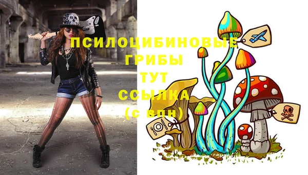 круглые Алексеевка